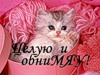  <b>Целую</b> и обниМЯУ! котенок на розовом фоне  гифка анимация