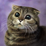  Кот с широко <b>распахнутыми</b> глазами  гифка анимация