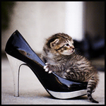 Малюсенький котеночек в туфельке