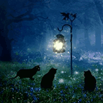 Черные кошки собрались у фонаря ночью