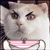  <b>Недовольный</b> кот с женскими трусиками в лапах  гифка анимация