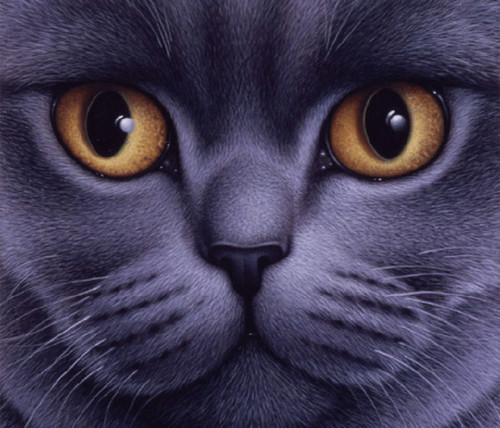 Большой портрет серого кота прорисован до мельчайших дета...