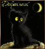 Доброй ночи! Черный котенок