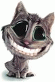  <b>Улыбающийся</b> кот с большими глазами  гифка анимация
