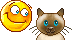 Смайлик с котом с голубыми глазами