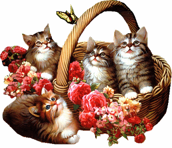 Четыре кошки в лукошке