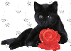 Черная кошка с красной розой