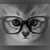  Умный кот в очках, нарисованный в чёрно-<b>белых</b> тонах  гифка анимация