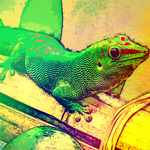 Зеленая ящерица геккон