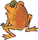 Жёлтая жаба