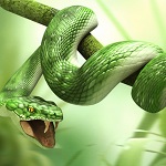 Зеленая змея с открытой пастью обвила ветку дерева