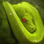 Змея зеленая с оранжевыми глазами