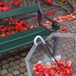 Красные осенние листья вокруг зеленой скамейки, и в зонте