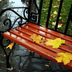  Осенние листья на <b>скамейке</b>  гифка анимация