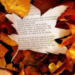  <b>Среди</b> осенней листвы лежат стихи  гифка анимация