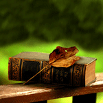 Книга и осенний листок