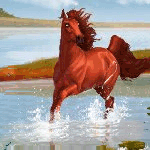  <b>Конь</b> в воде на берегу реки  гифка анимация