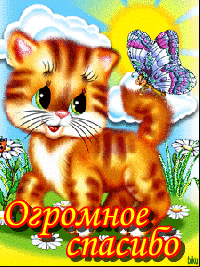  <b>Огромное</b> спасибо! Рыжий котенок с бабочкой на хвосте  гифка анимация