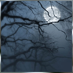 Луну видно сквозь ветки деревьев