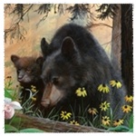 Пара черных медведей в окружении ромашек