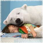 Белый медведь спит с мальчиком