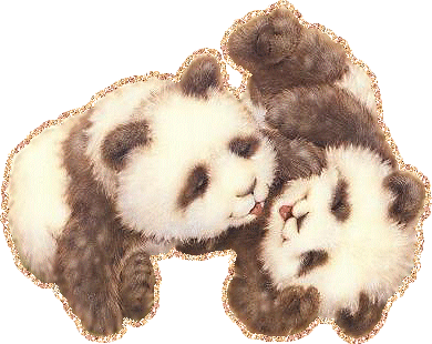 Два маленьких панды резвятся