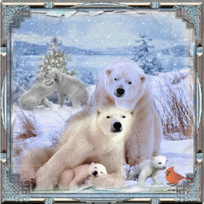 Белые медведи. Анимация с белыми медведями. Тут и мама и ...