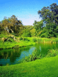  <b>Летняя</b> река (красивый пейзаж)  гифка анимация