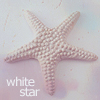 Морская звезда (white star)
