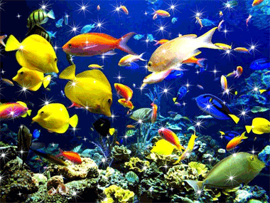 Разноцветные подводные жители Красного моря резвятся в ис...