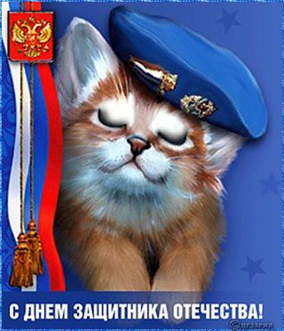 С Днем Защитника Отечества! С 23 февраля! Рыжий котенок!