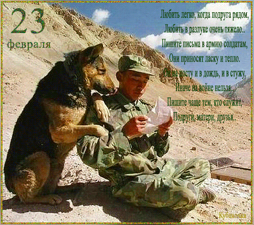 С Днем Защитника Отечества! 23 февраля! Военный и пес