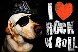 Я люблю рок-н-ролл! Собачка