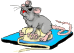  <b>Мышка</b> пытается понять компьютерную <b>мышку</b>  гифка анимация