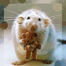 Крысёнок с игрушечным мишкой