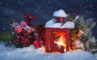  Фонарь освещает снег, ветку ели и <b>красные</b> ягоды на снегу  гифка анимация