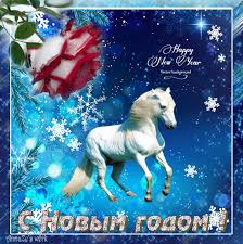 С Новым годом! Роза