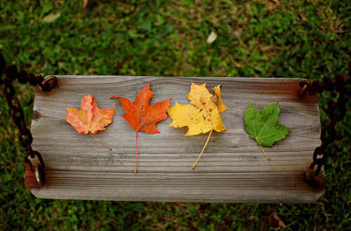 Открытки. Осень! На качелях лежат разноцветные листья