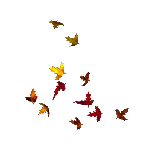 Открытки. Осень. Листья как птицы!
