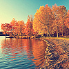 Осенние деревья отражаются в реке