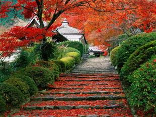 Открытки Осень. Ступени лестницы усыпаны красной листвой