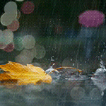 Осений лист топчет дождь