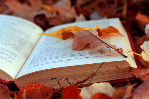 Открытки. Осень! Книга на осенней листве