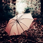 Зонтик в осеннем лесу