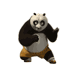 Конг-фу панда отрабатывает движения