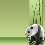 Панда на зеленом фоне