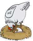  <b>Курица</b> обустраивает гнездо  гифка анимация