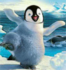 Пингвин сопротивляется ветру