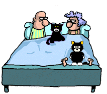  <b>Двое</b> в кровати, не считая кошек  гифка анимация