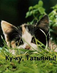 Ку-ку, Татьяны! Котенок